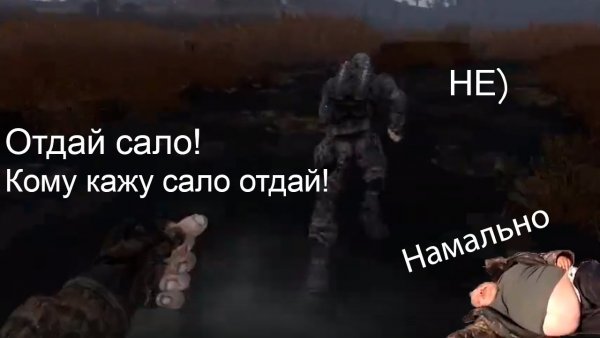 Прикол отдай сало