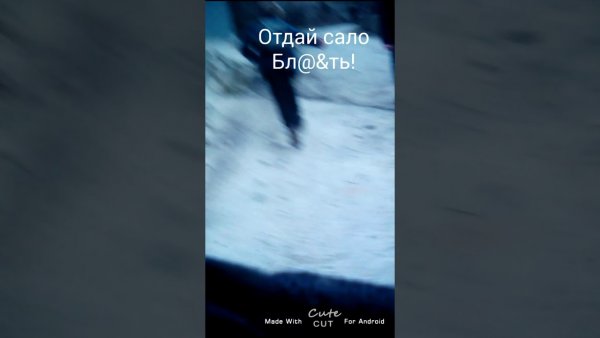 Мемы про Украину и сало