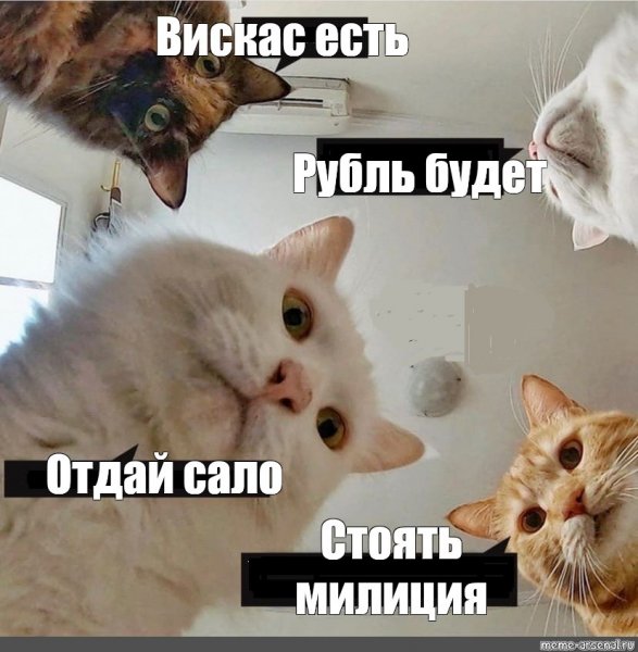 Медведь отдай сало