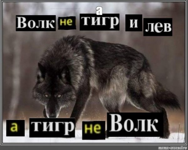 Цитаты Волков Мем