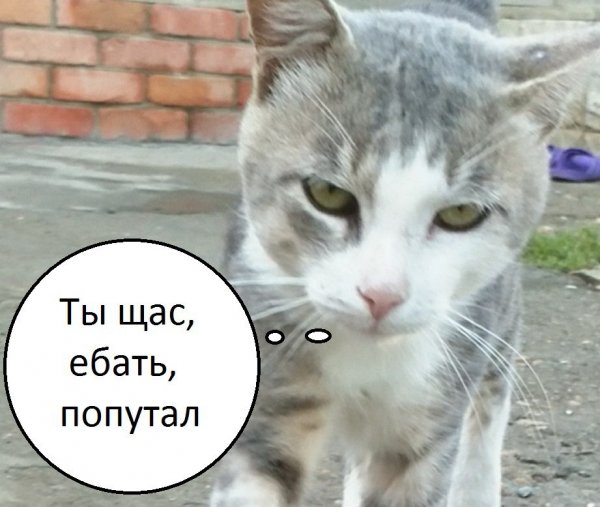 Ну щас картинки прикольные