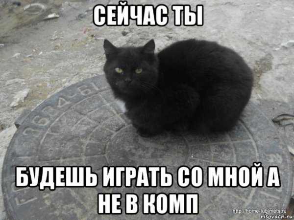 Он похож на меня Мем