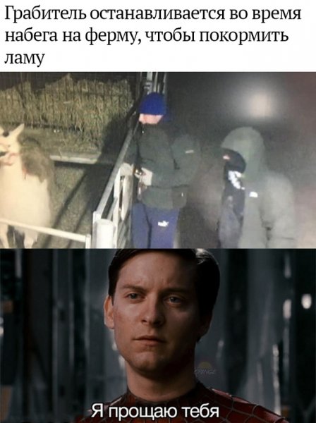 Тоби Магуайр прощает