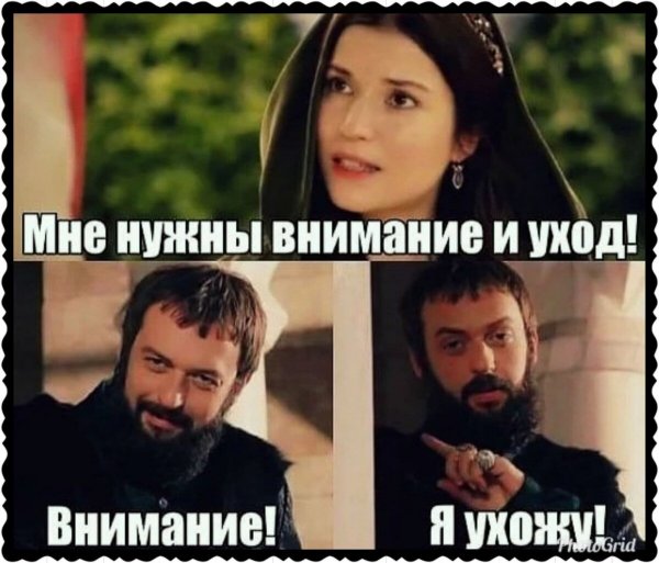 Великолепный век век мемы