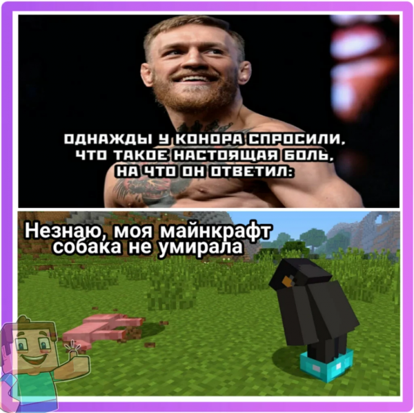 Мемы по майнкрафту