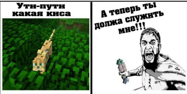 Приколы в МАЙНКРАФТЕ без матов