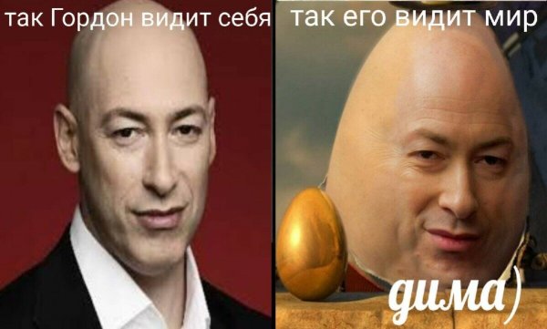 Дмитрий Гордон мемы