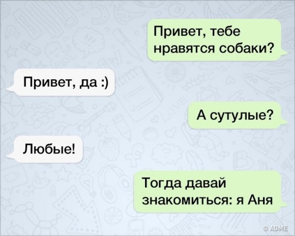 Тебе нравятся собаки а сутулые
