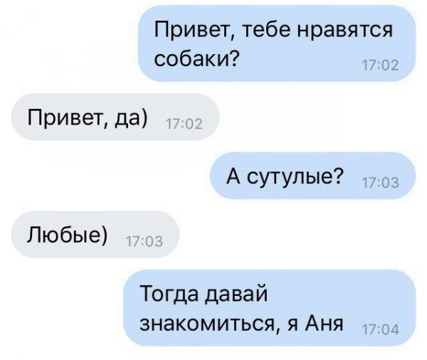 Тебе нравятся собаки а сутулые