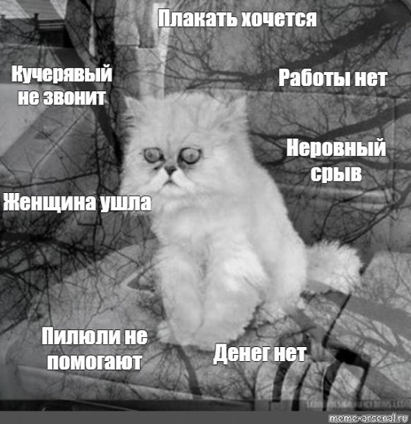 Хочется расплакаться