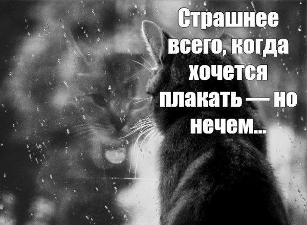 Когда на душе тоска