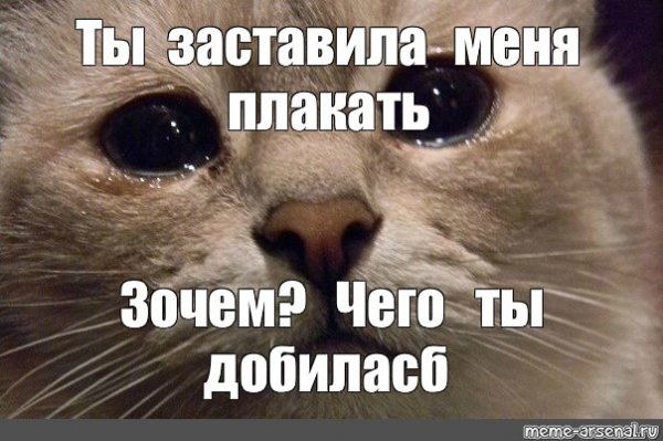 Я плакал коты
