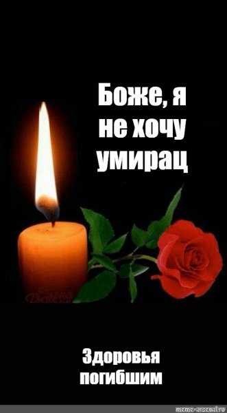 Счастья здоровья погибшим