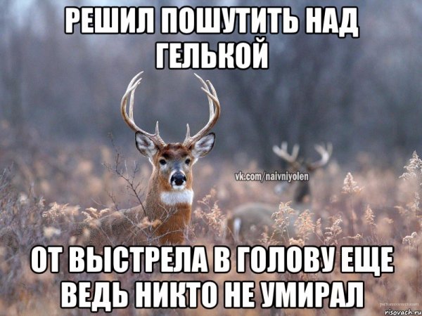 Мем погибшим