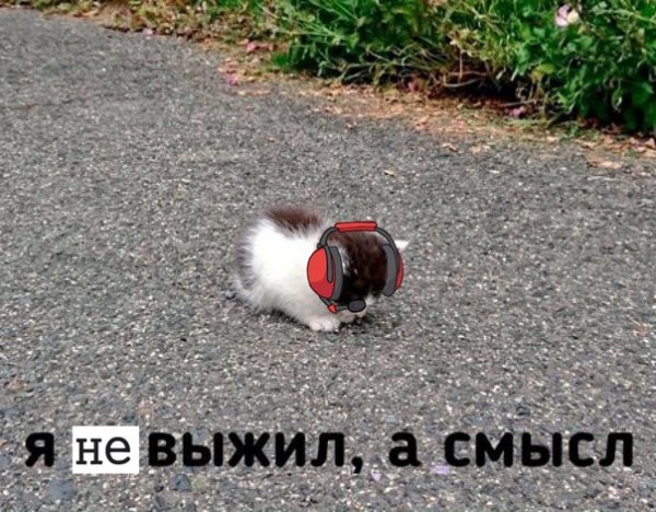 Мистер дудец на гитаре