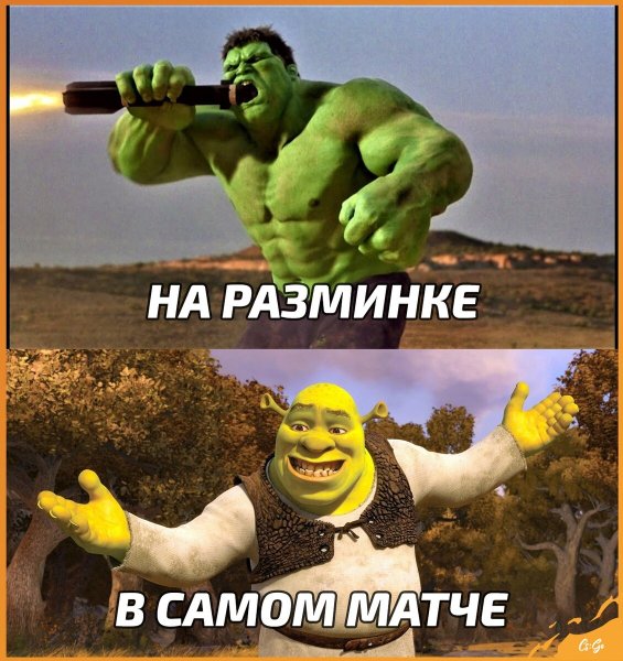 Мемы хорошего дня