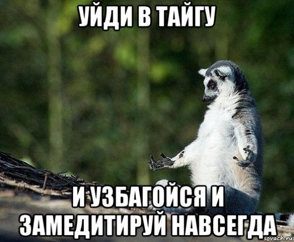 Збагойствие только збагойствие
