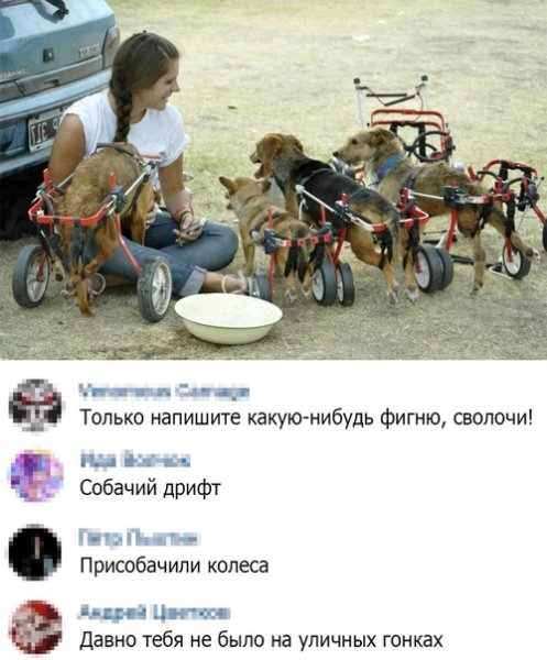 Собачий дрифт Мем