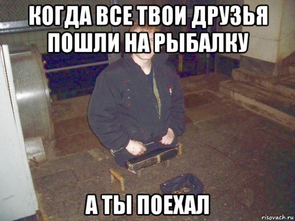 Собачка инвалид на колесиках