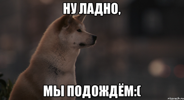 Хатико мемы
