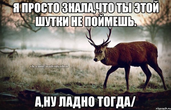 Ладно я понял