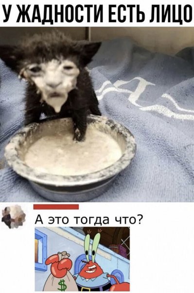 Котик в миске молока Мем