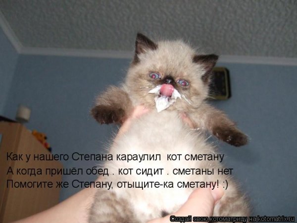 Котик пьет молоко