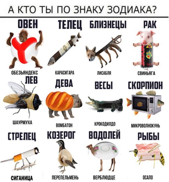 Знаки зодиака мемы истории