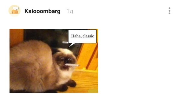 Haha Classic кот