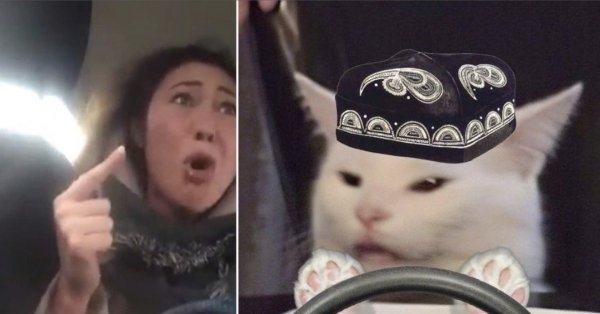 Казахский котик