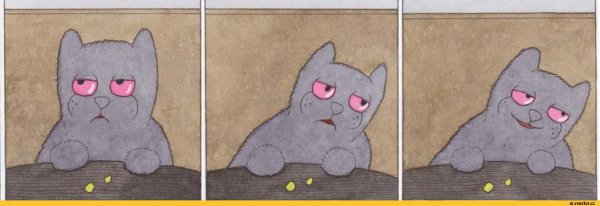 Megg Mogg and Owl комикс