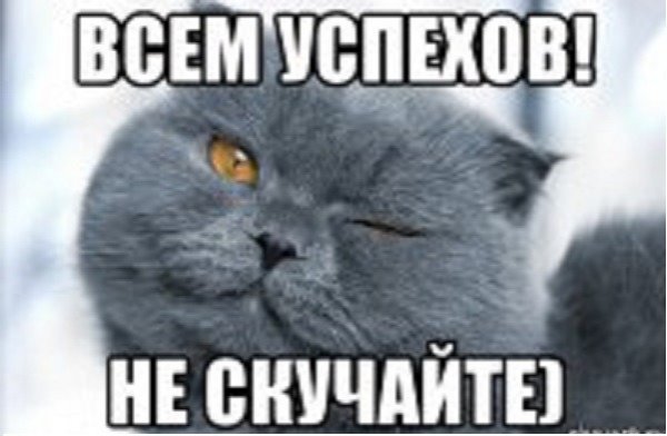 Котик улыбается Мем