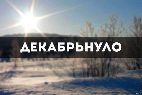 Приколы про декабрь
