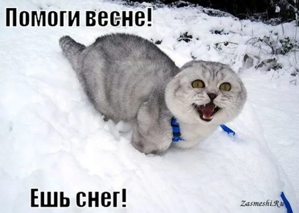Помогай весне ешь снег