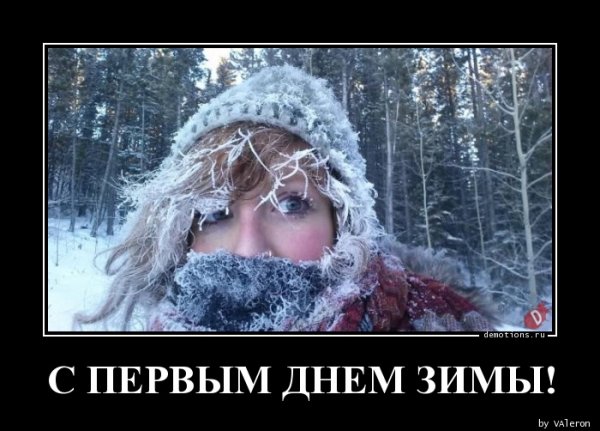Первый снег демотиватор