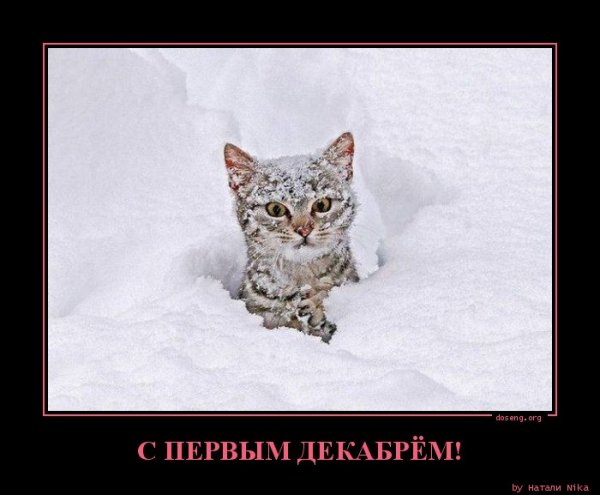 Первый день зимы демотиваторы