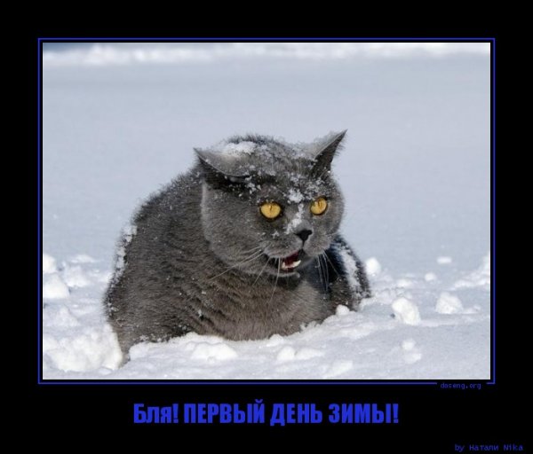 Первый день зимы приколы