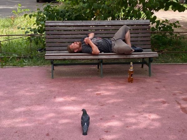 Кот на пицце в космосе Мем