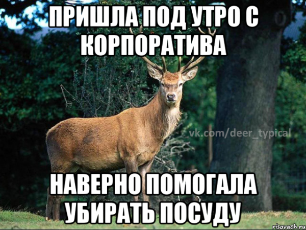 Пришла с корпоратива