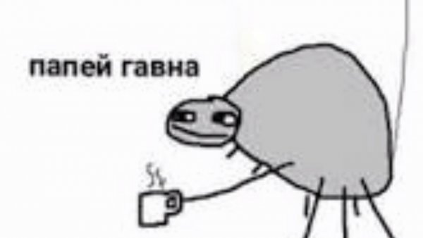 Мем поешь с пауком