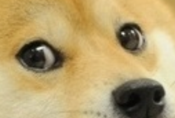 Грустный Doge