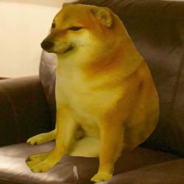 Грустный Doge