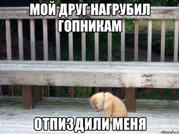 Грустная собака Мем