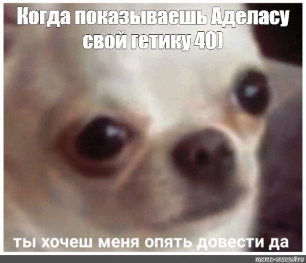 Ты хочешь меня опять довести да Мем