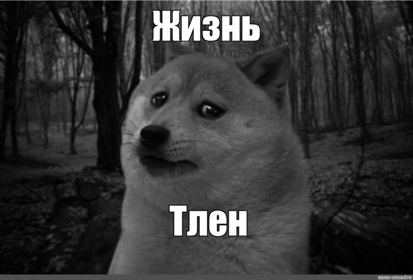 Жизнь тлен
