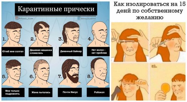 Шуфутинский одобряет