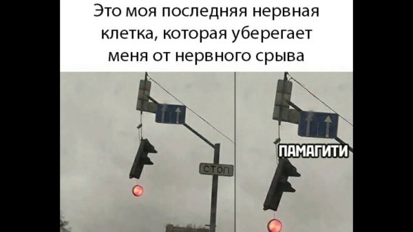 Я И моя последняя нервная клетка
