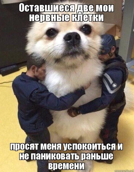 Нервные клетки Мем