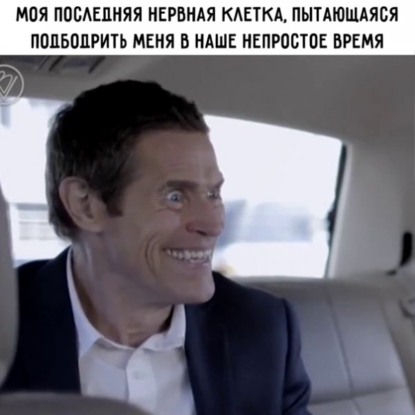 Моя последняя нервная клетка