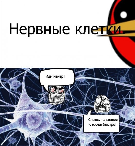Мемы про нервные клетки